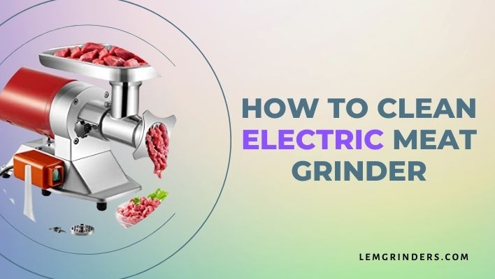 How To Clean Electric Meat Grinder |LemGrinder