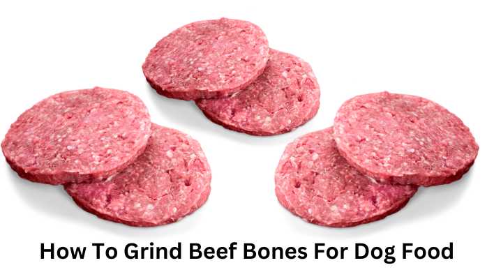 How To Grind Beef Bones For Dog Food