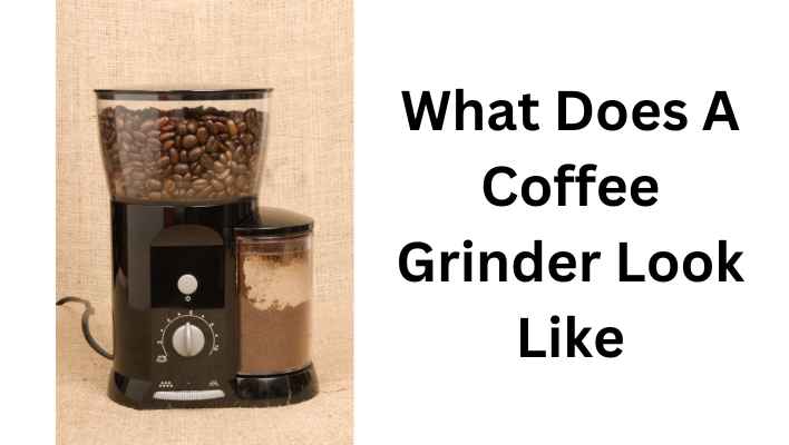 What Does A Coffee Grinder Look Like