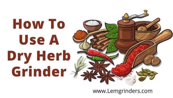How To Use A Dry Herb Grinder?  A Step-By-Step Guide