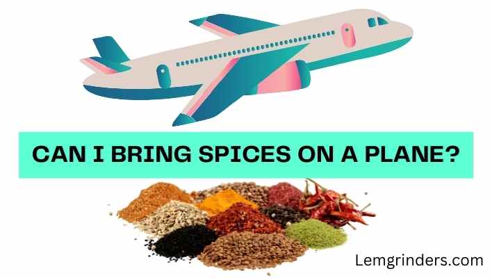 Can You Bring Spices on a Plane