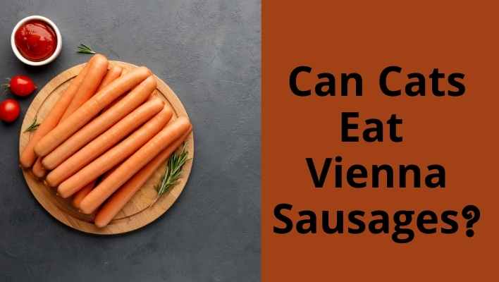 Can Cats Eat Vienna Sausages?
