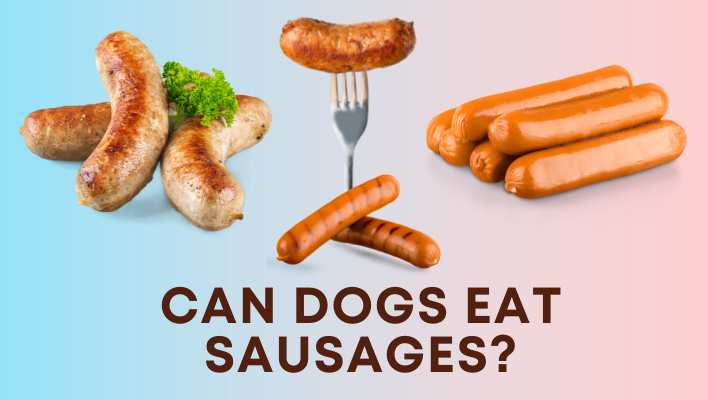 Can Dogs Eat Sausages