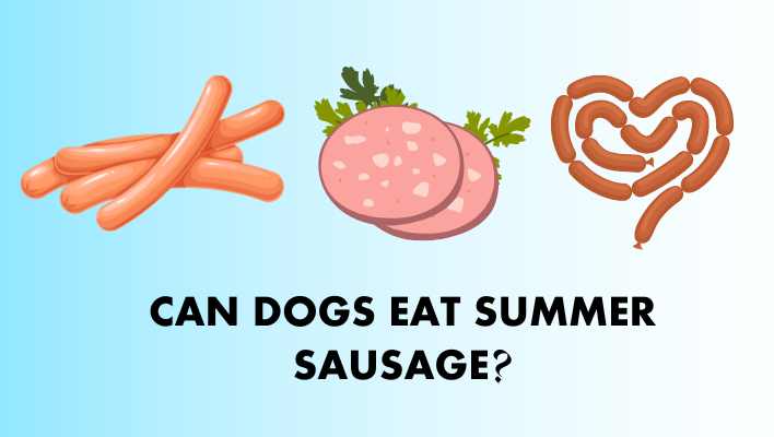 Can Dogs Eat Summer Sausage?