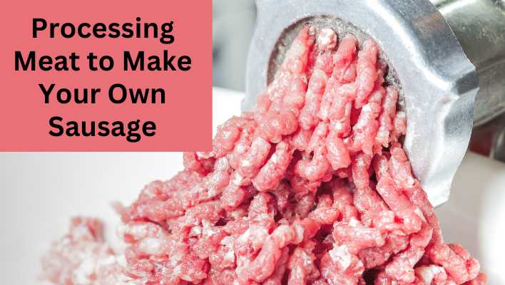How to Grind Meat for Sausage? Easy Methods