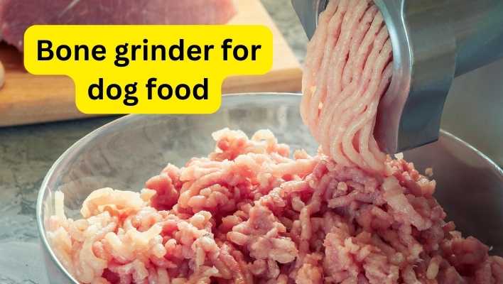 Bone grinder for dog food