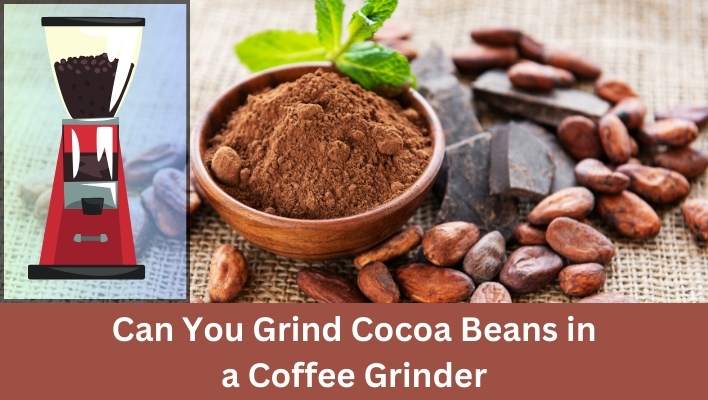 Can You Grind Cocoa Beans in a Coffee Grinder