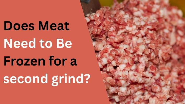 Does Meat Need to Be Frozen for a second grind