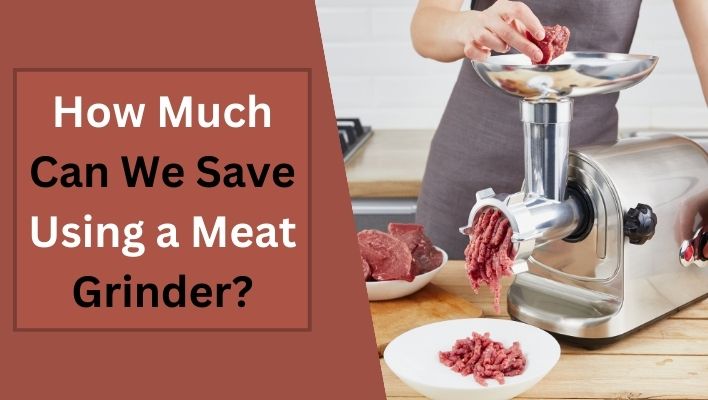 How Much Can We Save Using a Meat Grinder